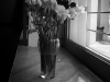 XSAP_461013048.JPG