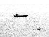 xsap_3218070410.jpg