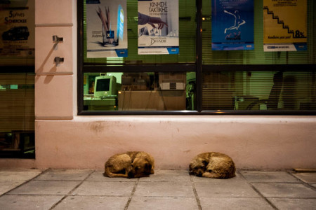 Σαπρίκης Χρίστος