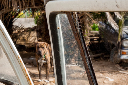 Σαπρίκης Χρίστος