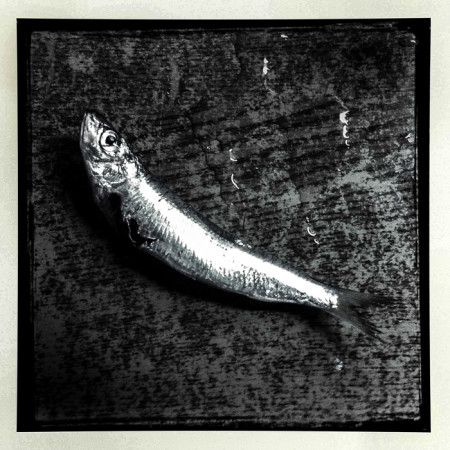 Σαπρίκης Χρίστος