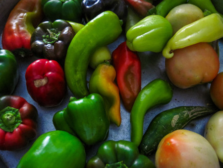 Σαπρίκης Χρίστος