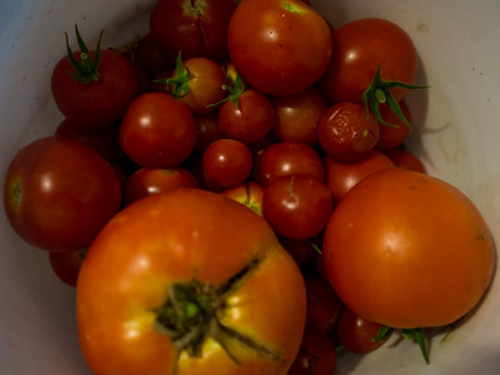 Σαπρίκης Χρίστος