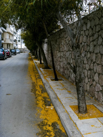 Σαπρίκης Χρίστος