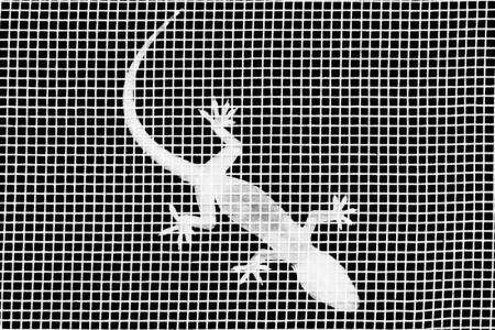 Σαπρικης Χρίστος