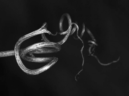 Σαπρικης Χρίστος