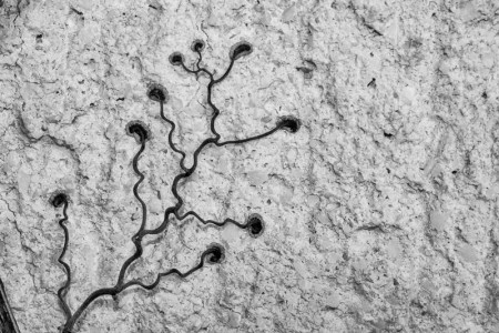 Σαπρικης Χρίστος