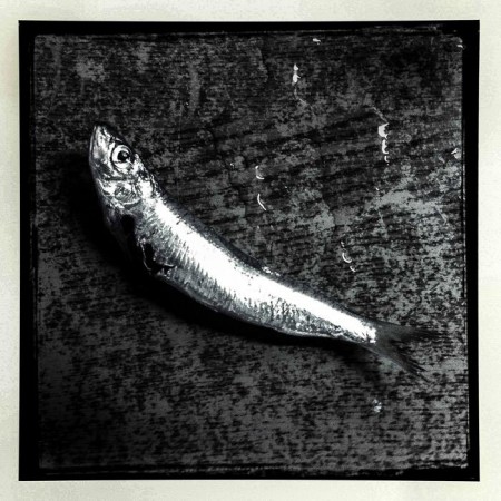 Σαπρίκης Χρίστος