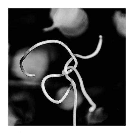 Σαπρίκης Χρίστος