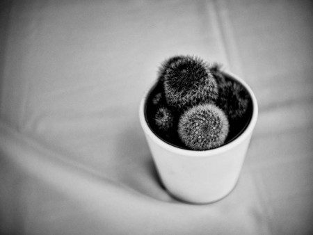 Σαπρίκης Χρίστος