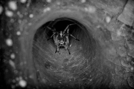 Σαπρίκης Χρίστος